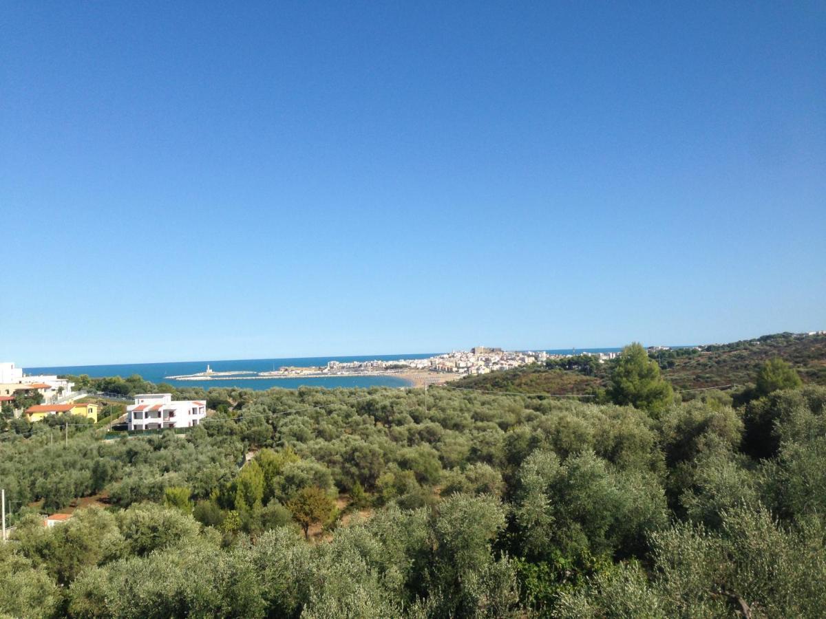 Apartment Vill'aura